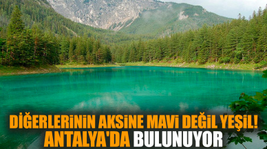 Diğerlerinin aksine mavi değil yeşil! Antalya'da bulunuyor