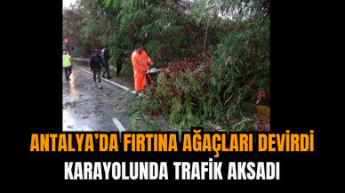 Antalya’da Fırtına Ağaçları Devirdi Karayolunda Trafik Aksadı