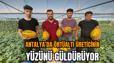 Antalya’da Örtüaltı Üreticinin Yüzünü Güldürüyor