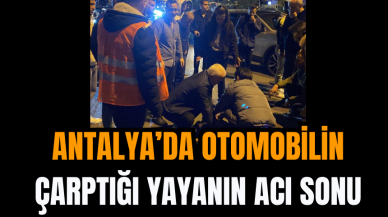 Antalya’da Otomobilin Çarptığı Yayanın Acı Sonu