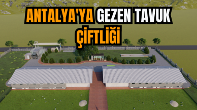 Antalya'ya gezen tavuk çiftliği