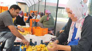 Hurma kurutma işi Kozan'ı açık hava fabrikasına dönüştürdü