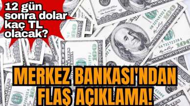 Merkez Bankası'ndan flaş açıklama! 12 gün sonra dolar kaç TL olacak?