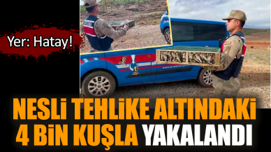 Hatay'da nesli tehlike altındaki 4 bin kuşla yakalandı