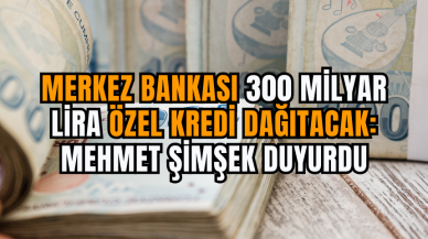 Merkez Bankası 300 Milyar Lira Özel Kredi Dağıtacak: Mehmet Şimşek Duyurdu