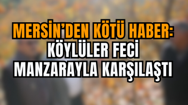 Mersin’den Kötü Haber: Köylüler Feci Manzarayla Karşılaştı