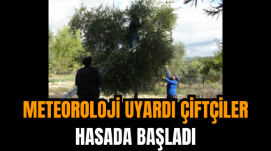 Meteoroloji Uyardı Çiftçiler Hasada Başladı