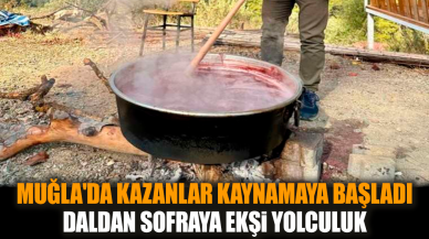 Muğla'da kazanlar kaynamaya başladı