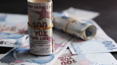 Merkez Bankası'nın iç borç stokundaki payında düşüş sürüyor