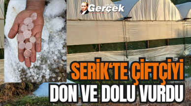 Serik'te seracılara don ve dolu şoku!