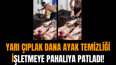 Yarı Çıplak Dana Ayak Temizliği İşletmeye Pahalıya Patladı!