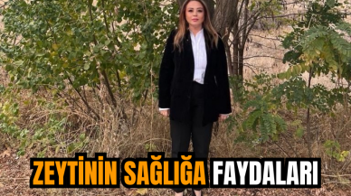 Zeytinin sağlığa faydaları