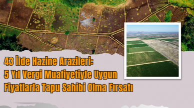 43 İlde Hazine Arazileri: 5 Yıl Vergi Muafiyetiyle Uygun Fiyatlarla Tapu Sahibi Olma Fırsatı