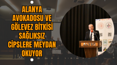 Alanya Avokadosu ve Gölevez Bitkisi Sağlıksız Cipslere Meydan Okuyor