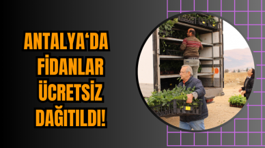 Antalya Fidanları Ücretsiz Dağıtıldı!