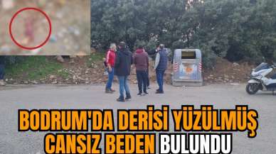 Bodrum'da derisi yüzülmüş cansız beden bulundu