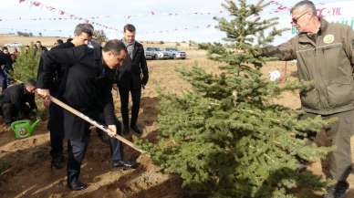 Burdur'da 100'üncü yıl ormanına bin fidan dikildi