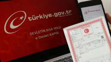 Hazine kapısı açılıyor: Saklı mirasınız E-Devlet'te ortaya çıkıyor