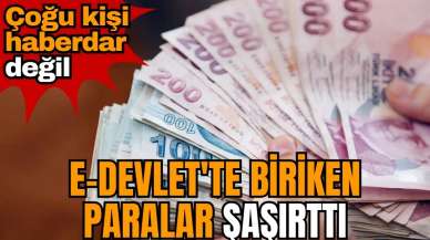 E-Devlet'te biriken paralar şaşırttı: Çoğu kişi haberdar değil