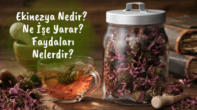 Ekinezya Nedir? Ne İşe Yarar? Faydaları Nelerdir?