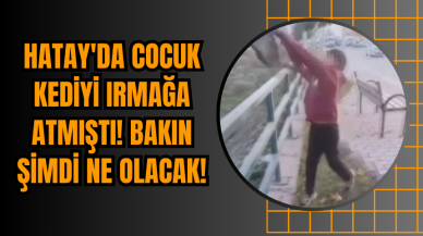 Hatay'da cocuk kediyi Irmağa atmıştı!  Bakın şimdi ne olacak!