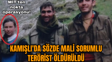 Kamışlı'da sözde mali sorumlu ter*rist öldü*üldü!