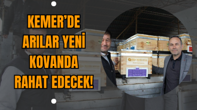 Kemer’de Arılar Yeni Kovanda Rahat Edecek!