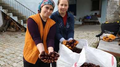 Kışın vazgeçilmezi! Denizli'de kestanenin sofralara yolculuğu başladı