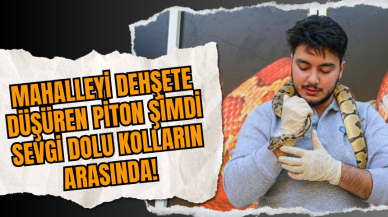 Mahalleyi Dehşete Düşüren Piton Şimdi Sevgi Dolu Kolların Arasında!