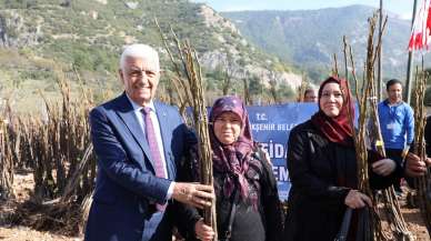 Muğla'da üreticilere 150 binden fazla fidan desteği