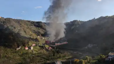 Balık fabrikası cayır cayır yandı