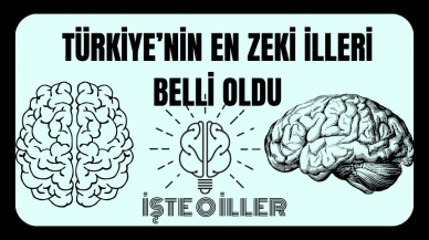 Türkiye’nin En Zeki İlleri Belli Oldu