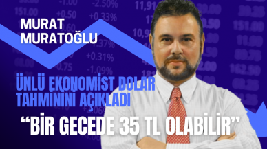 Ünlü Ekonomist Dolar Tahminini Açıkladı: Bir Gecede 35 TL Olabilir