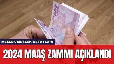 2024 maaş zammı açıklandı: Meslek meslek detaylar!