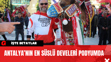 Antalya’nın En Süslü Develeri Podyumda