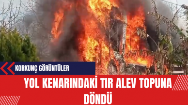 Yol Kenarındaki Tır Alev Topuna Döndü