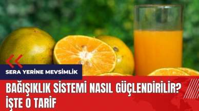 Bağışıklık sistemi nasıl güçlendirilir? İşte o tarif