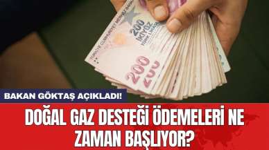 Bakan Göktaş açıkladı! Doğal gaz desteği ödemeleri ne zaman başlıyor? İşte detaylar