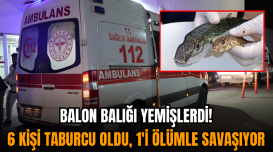 Balon balığı yemişlerdi! 6 kişi taburcu oldu, 1'i ölümle savaşıyor