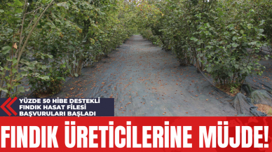 Fındık Üreticilerine Müjde! Yüzde 50 Hibe Destekli Fındık Hasat Filesi Başvuruları Başladı