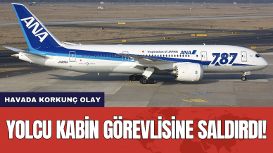 Havada korkunç olay: Yolcu kabin görevlisinin kolunu ısırdı