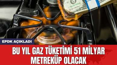 EPDK: Bu yıl gaz tüketimi 51 milyar metreküp olacak