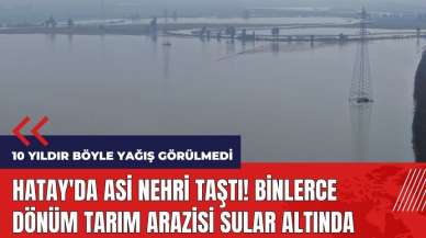 Hatay'da Asi Nehri taştı! Binlerce dönüm tarım arazisi sular altında