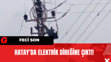 Hatay’da Elektrik Direğine Çıktı! Feci Son