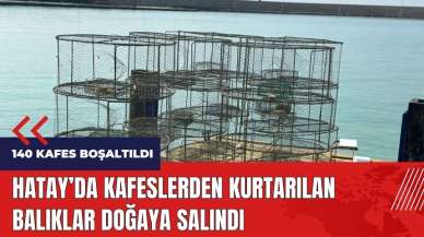 Hatay'da kafeslerden kurtarılan balıklar doğaya salındı