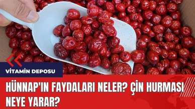 Hünnap'ın faydaları neler? Çin Hurması neye yarar?