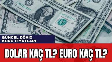 Dolar kuru bugün ne kadar? Euro kaç lira oldu? 22 Mayıs 2024 Çarşamba