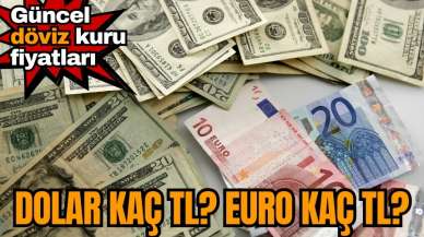 2 Ocak 2024 Dolar kaç TL? Euro ne kadar?