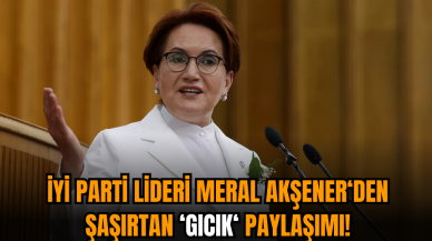 Meral Akşener'den şaşırtan 'Gıcık' paylaşımı!