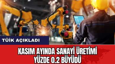 Kasım ayında sanayi üretimi yüzde 0.2 büyüdü